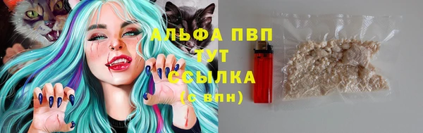 дмт Алексин