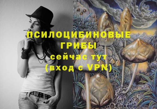 крисы Абинск