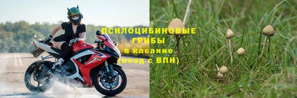 крисы Абинск