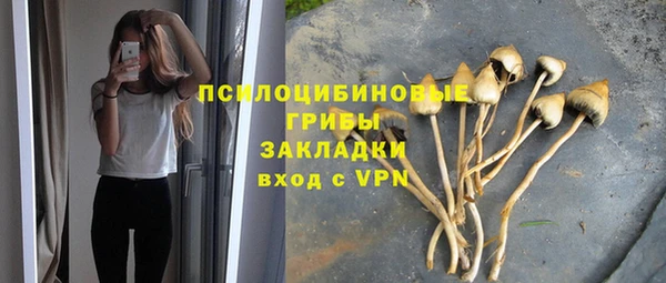 крисы Абинск