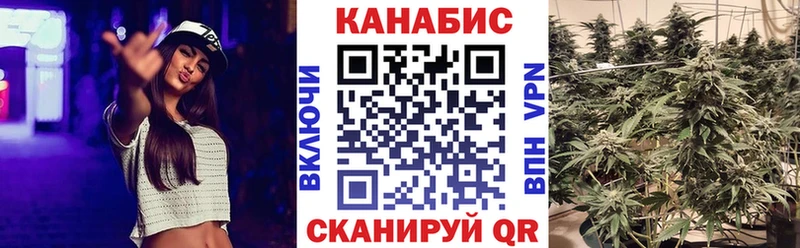 Конопля AK-47  где продают   Чкаловск 